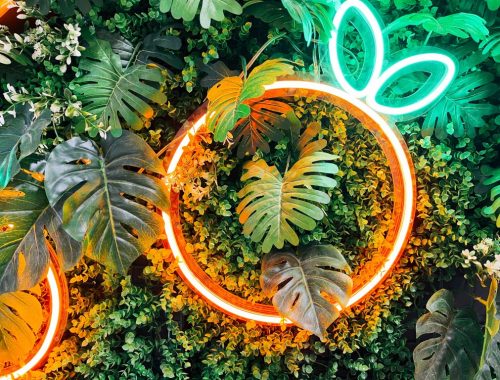 neon-lighting-2021-12-26-18-27-32-utc (Medium)